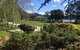Green Gables B&B - thumb 2