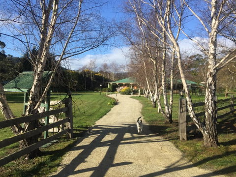 Green Gables B&B - Melbourne Tourism 0