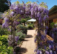 Gumtree House Montville - Melbourne Tourism