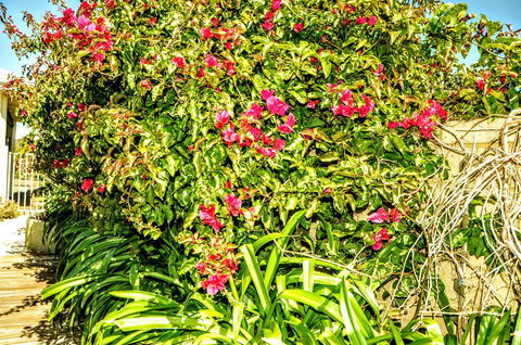 Halls Head Holiday Home - Melbourne Tourism 3