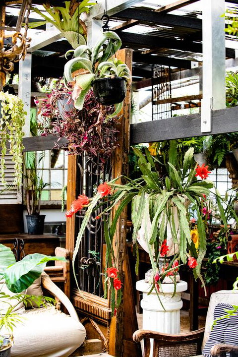 Jaspers Apartments - Melbourne Tourism 3