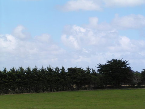 Karingal Homestead B&B - Melbourne Tourism 0