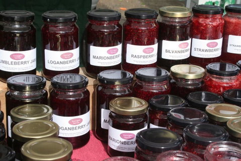 Karingal Homestead B&B - Melbourne Tourism 2