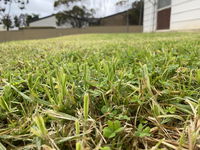 Book Karoonda Accommodation Vacations Melbourne Tourism Melbourne Tourism