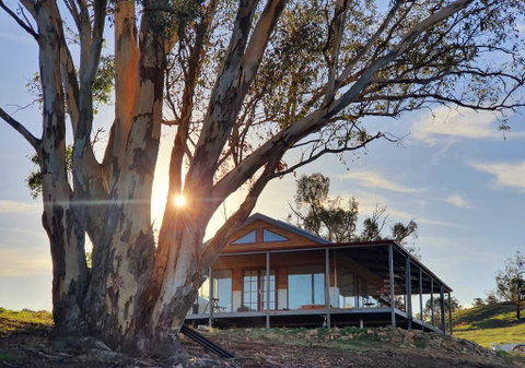 Kestrel Nest EcoHut - Melbourne Tourism 0