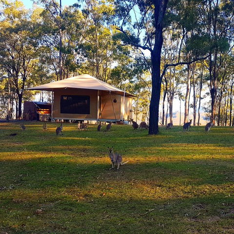 Ketchup's Bank Glamping - Melbourne Tourism 3