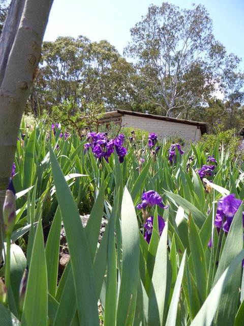 Lakeside Lodge Armidale - Melbourne Tourism 3