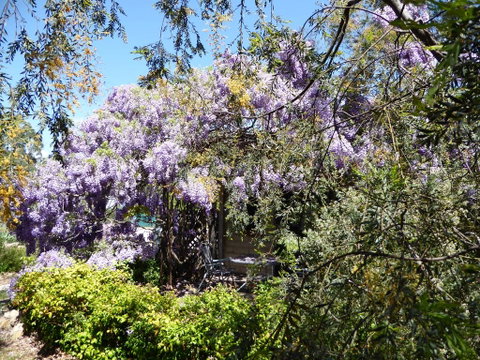 Lakeside Lodge Armidale - Melbourne Tourism 1