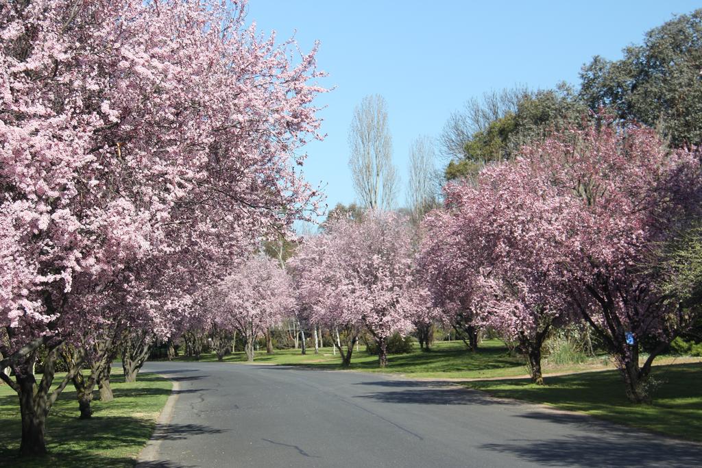 Kelso NSW Melbourne Tourism