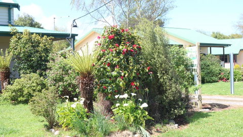 Meredith House & Apartments Strahan - Melbourne Tourism 1