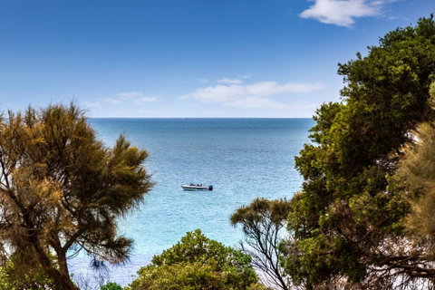 Mills Beach Retreat Luxury Family Retreat With Hydrotherapy Spa, Opposite Beach, Walk To Village - Melbourne Tourism 2