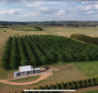 Millthorpe Truffles - Gorgeous getaway for 2 - Melbourne Tourism