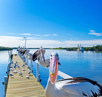 Moby Dick Waterfront Resort Motel - Melbourne Tourism
