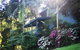 Montville Country Cabins - thumb 1