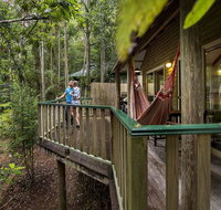 Narrows Escape Rainforest Retreat - Melbourne Tourism