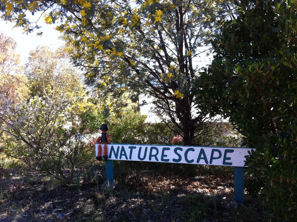 Kosciuszko NSW Melbourne Tourism