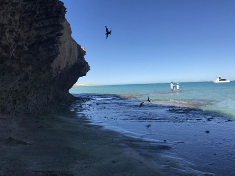 Peoples Park - Melbourne Tourism 36