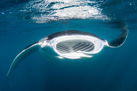 Peoples Park - Melbourne Tourism 32