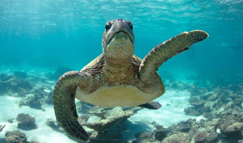 Peoples Park - Melbourne Tourism 31