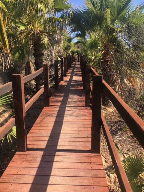 Peoples Park - Melbourne Tourism 10