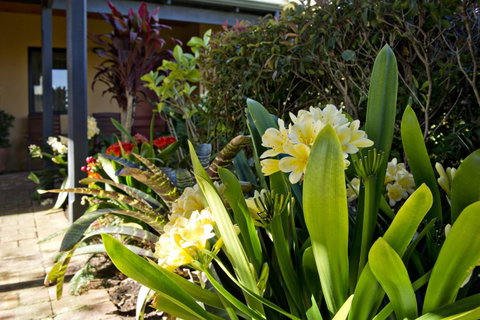 Vintages Accommodation - Melbourne Tourism 19