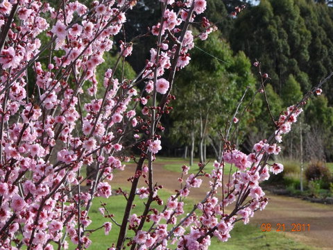 Big Brook Retreat - Melbourne Tourism 9