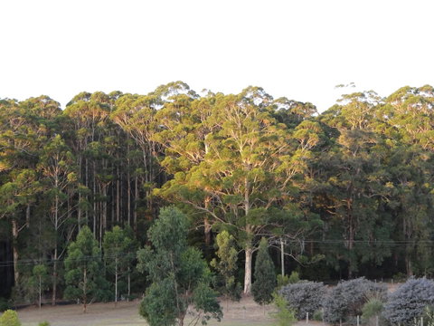 Big Brook Retreat - Melbourne Tourism 11