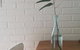 Whitesands Holiday Villas - thumb 27