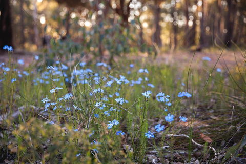 Amaroo Retreat & Spa - Melbourne Tourism 15