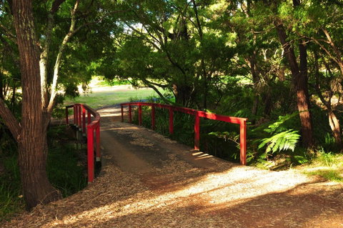 Waterfall Cottages - Melbourne Tourism 17