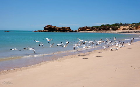 Apartments At Blue Seas Resort - Melbourne Tourism 25