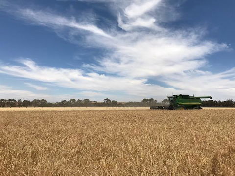 The Mains Guest House 2 Bedroom Farm Stay - Melbourne Tourism 17