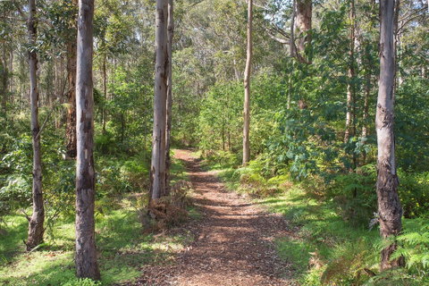 Tall Trees Margaret River - Melbourne Tourism 4