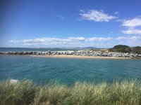 Book Bridport Accommodation Vacations Melbourne Tourism Melbourne Tourism