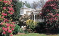 Book Scottsdale Accommodation Vacations Melbourne Tourism Melbourne Tourism