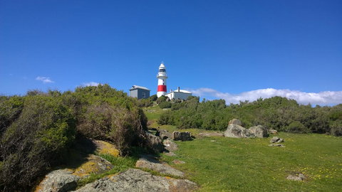 BIG4 Low Head Tourist Park - Melbourne Tourism 6