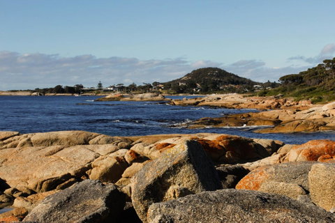 Mermaids Of Bicheno - Melbourne Tourism 15
