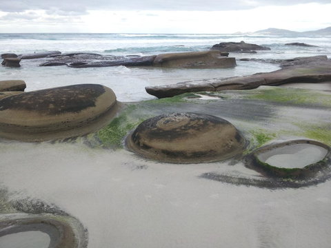 Suntrap Cove Bicheno - Melbourne Tourism 6