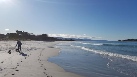 Suntrap Cove Bicheno - Melbourne Tourism 5