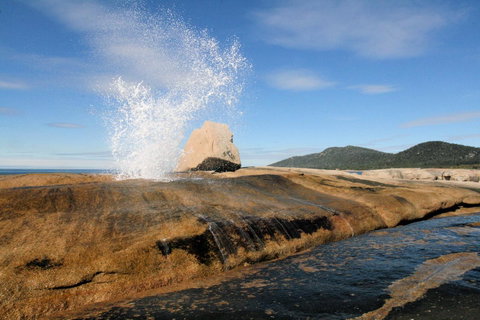 Suntrap Cove Bicheno - Melbourne Tourism 0