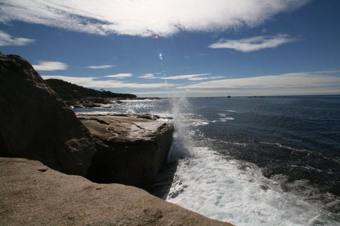 Suntrap Cove Bicheno - Melbourne Tourism 40