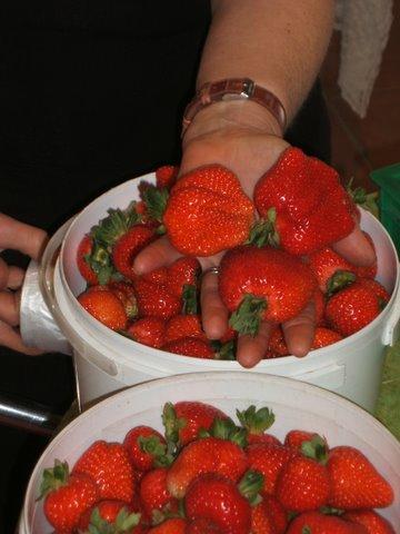 Eureka Farm - Melbourne Tourism 17