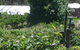 Eureka Farm - thumb 25