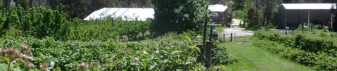 Eureka Farm - Melbourne Tourism 25