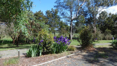 Karoola Cottage Self Contained - Melbourne Tourism 19