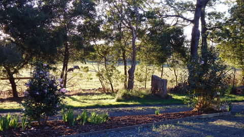 Karoola Cottage Self Contained - Melbourne Tourism 25