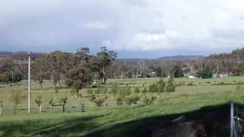 Karoola Cottage Self Contained - Melbourne Tourism 11