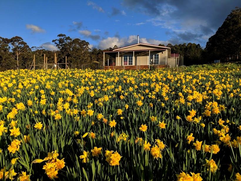Golden Valley TAS Melbourne Tourism