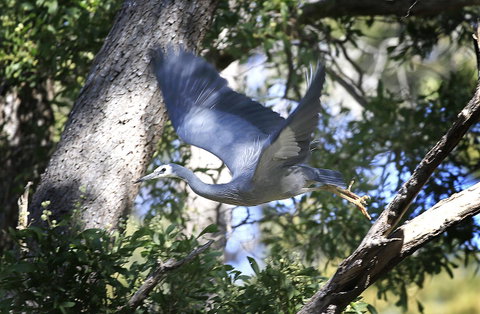 Riverwalk B&B - Melbourne Tourism 15