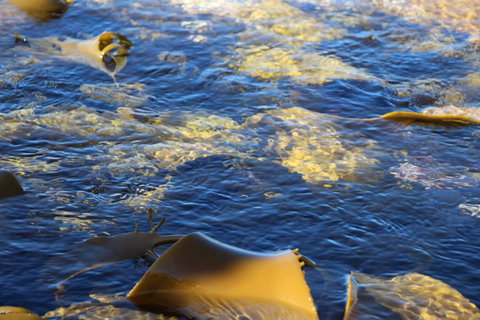 Blu-Sea 365 - Melbourne Tourism 28